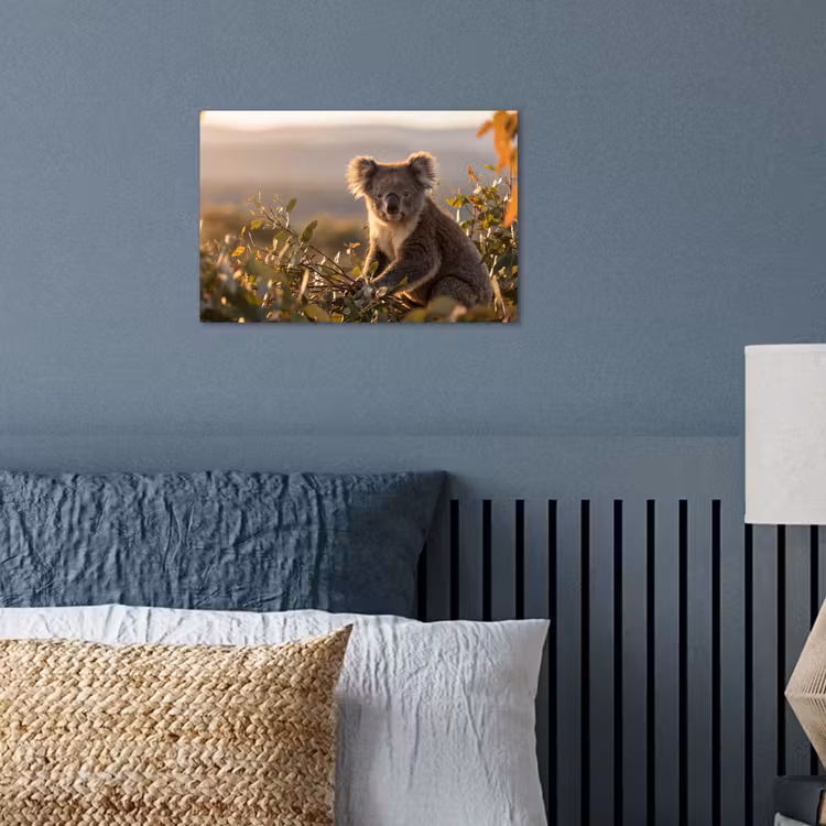 Koala - Bladeren - Ochtendlicht poster papier klein -sfeer2