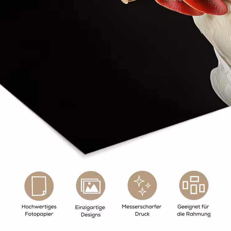 Kok - Rood - Kip poster papier klein -tcloseup_DE