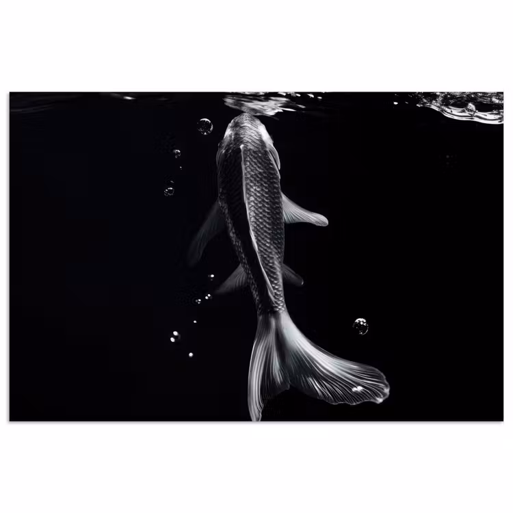Koi - Vissen - Water - Zwart poster papier klein -3d