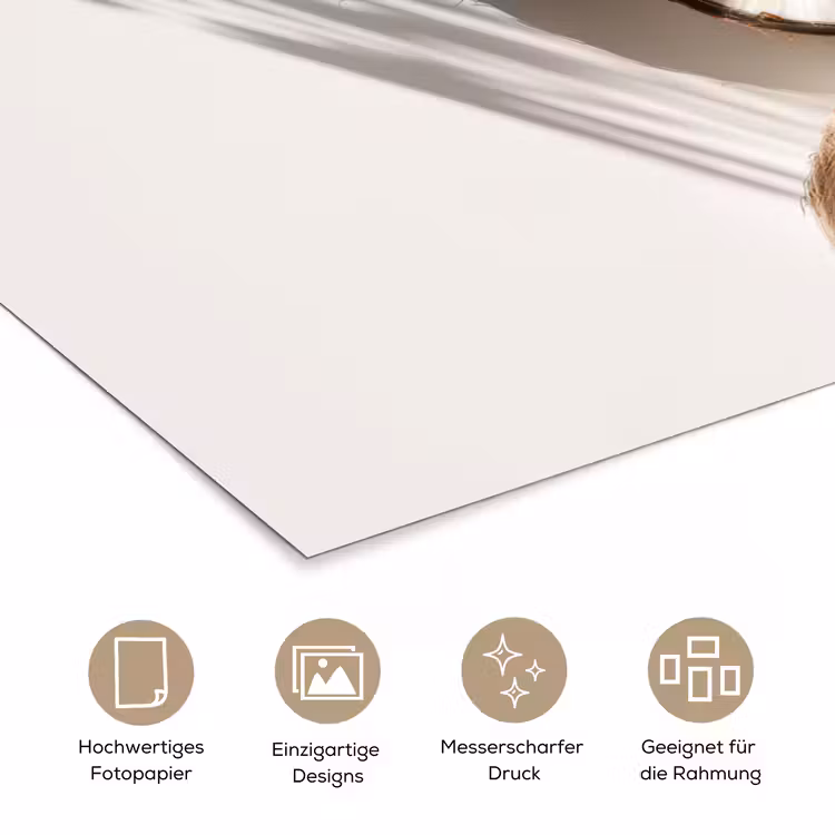 Kokosnoten - Bruin - Shaduw poster papier klein -tcloseup_DE