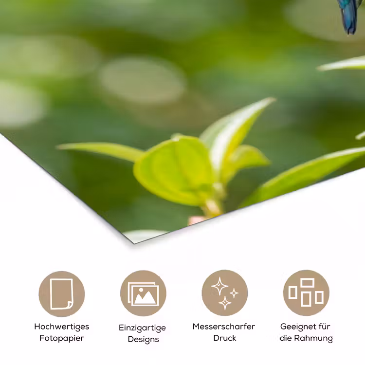 Kolibrie - Bloem - Natuur - Groen poster papier klein -tcloseup_DE