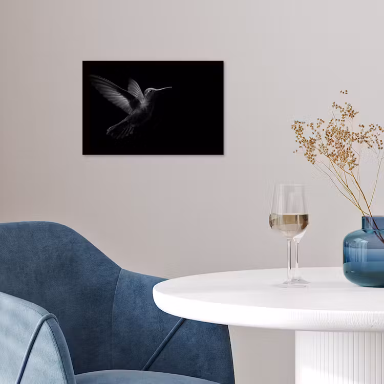 Kolibrie - Zwart - Dieren poster papier klein -sfeer3