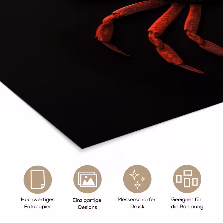 Krab - Rood - Vissen - Schaaldieren poster papier klein -tcloseup_DE