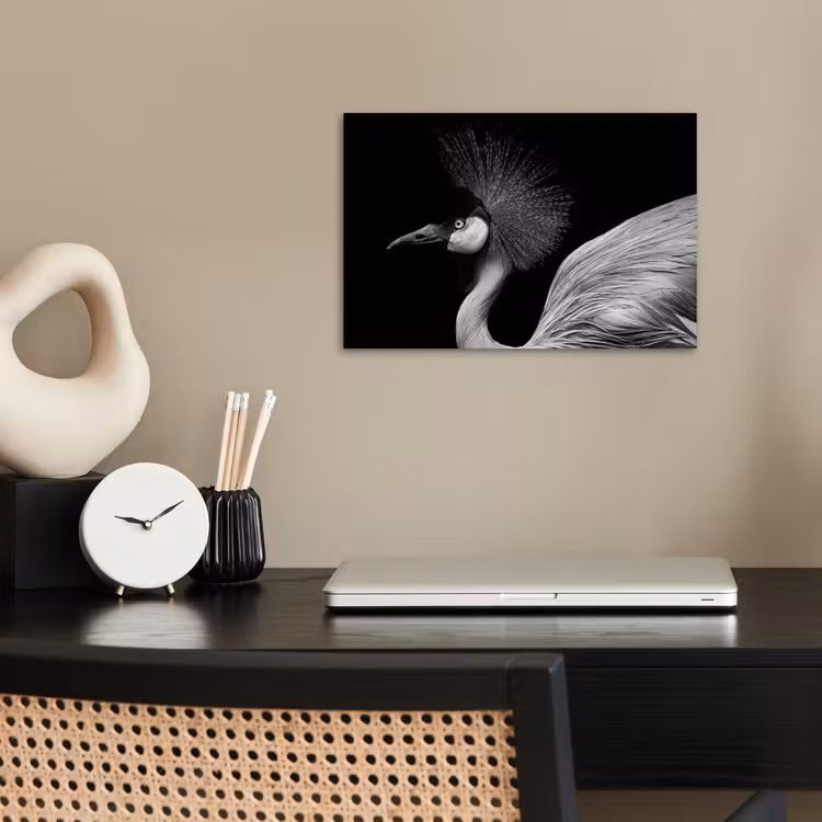 Kraanvogel - Zwart - Wit - Vogel - Dieren poster papier klein -sfeer1