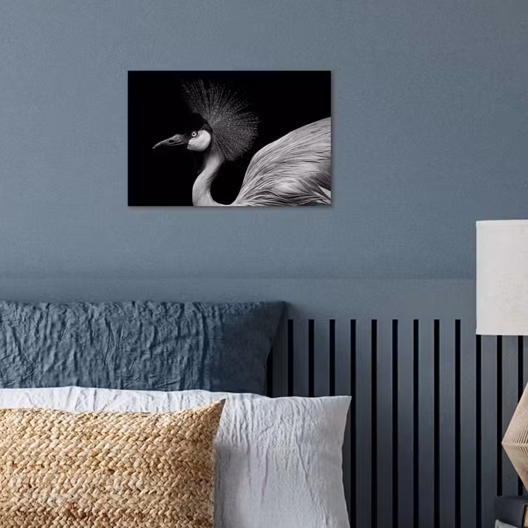 Kraanvogel - Zwart - Wit - Vogel - Dieren poster papier klein -sfeer2