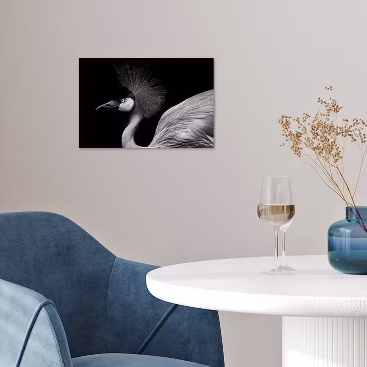 Kraanvogel - Zwart - Wit - Vogel - Dieren poster papier klein -sfeer3