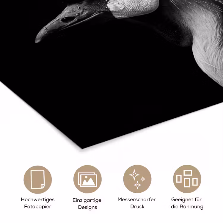 Kraanvogel - Zwart - Wit - Vogel - Dieren poster papier klein -tcloseup_DE