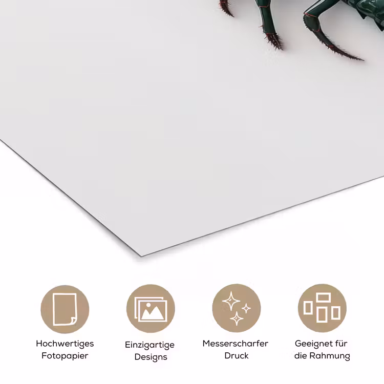 Kreeft - Glossier - Groen - Wit poster papier klein -tcloseup_DE