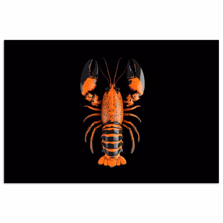 Kreeft - Oranje - Zwart - Modern poster papier klein -3d
