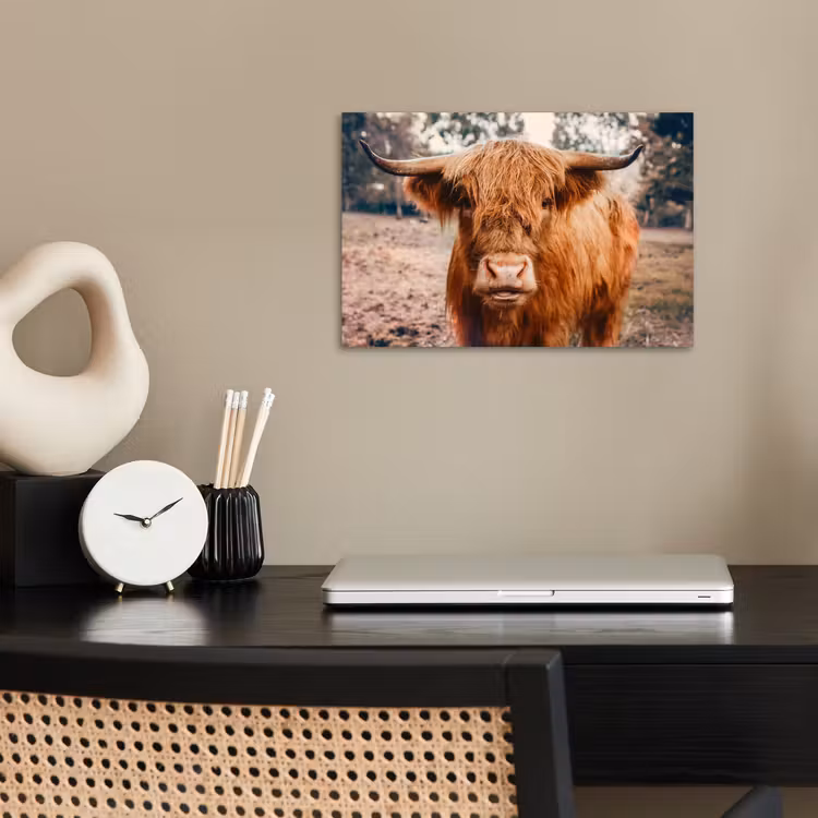 Koe- Schotse hooglander - Hoorns - Bruin - Landschap poster papier klein -sfeer1