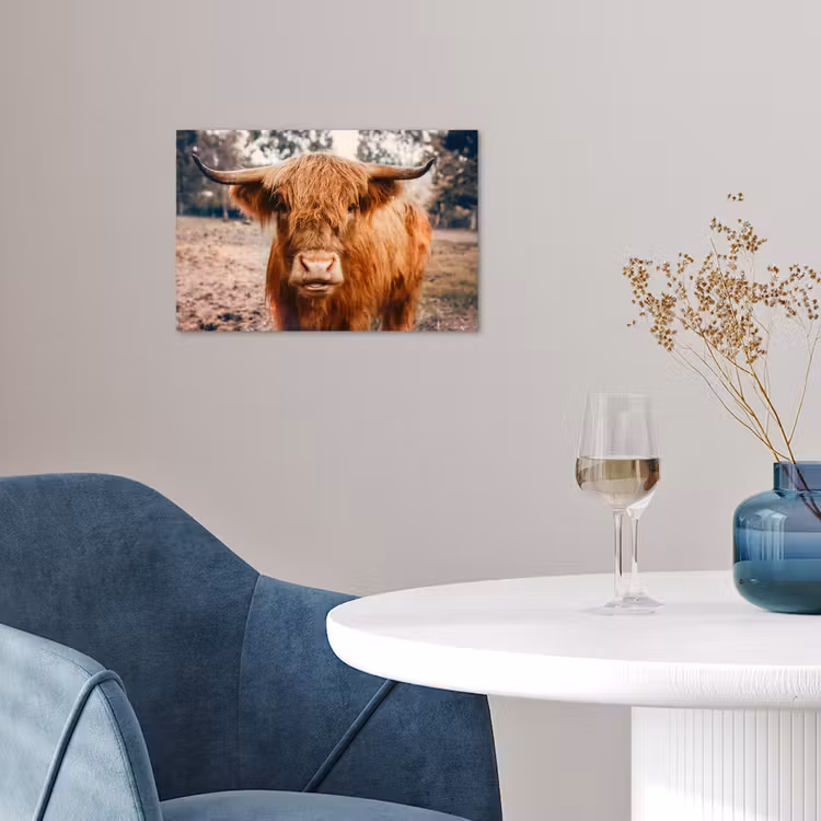 Koe- Schotse hooglander - Hoorns - Bruin - Landschap poster papier klein -sfeer3