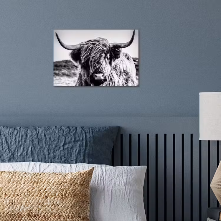 Koe - Schotse hooglander - Zwart - Wit - Dier - Natuur - Wild poster papier klein -sfeer2