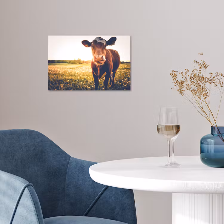 Koe - Zonsondergang - Bloemen - Gras - Dieren poster papier klein -sfeer3