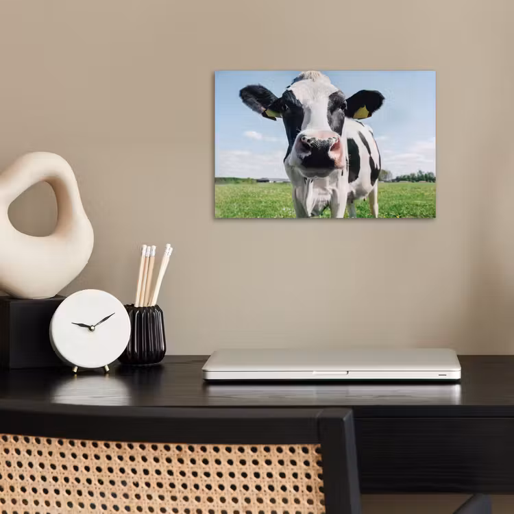 Koe - Weiland - Natuur - Dieren - Gras poster papier klein -sfeer1