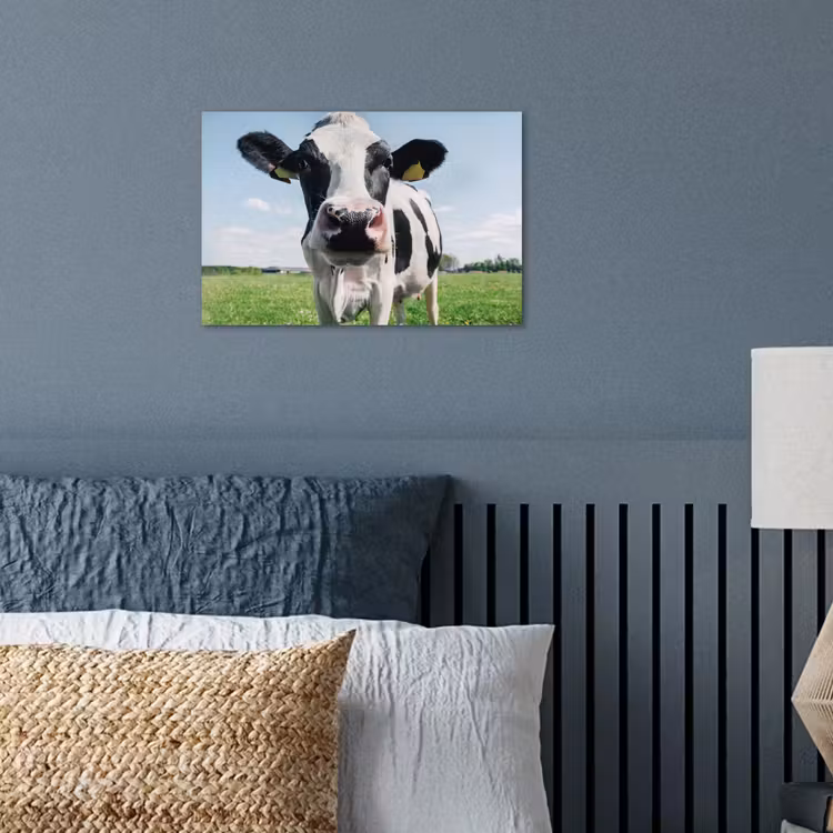 Koe - Weiland - Natuur - Dieren - Gras poster papier klein -sfeer2