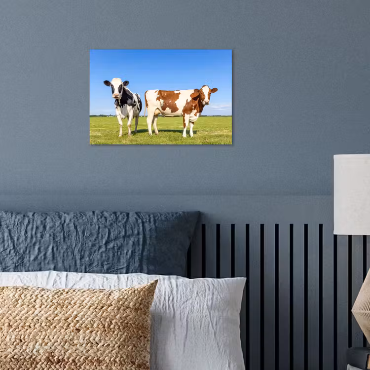 Koeien - Boerderij - Gras- Natuur - Dieren poster papier klein -sfeer2