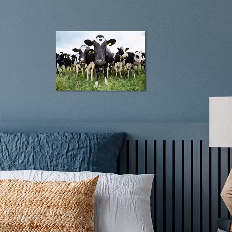 Koeien - Gras - Lente - Dieren - Weiland - Boerderij poster papier klein -sfeer2