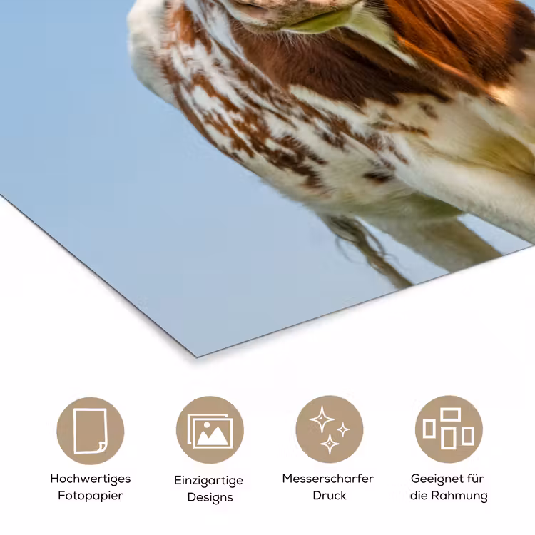 Koeien - Lucht - Dieren - Boerderij - Portret poster papier klein -tcloseup_DE