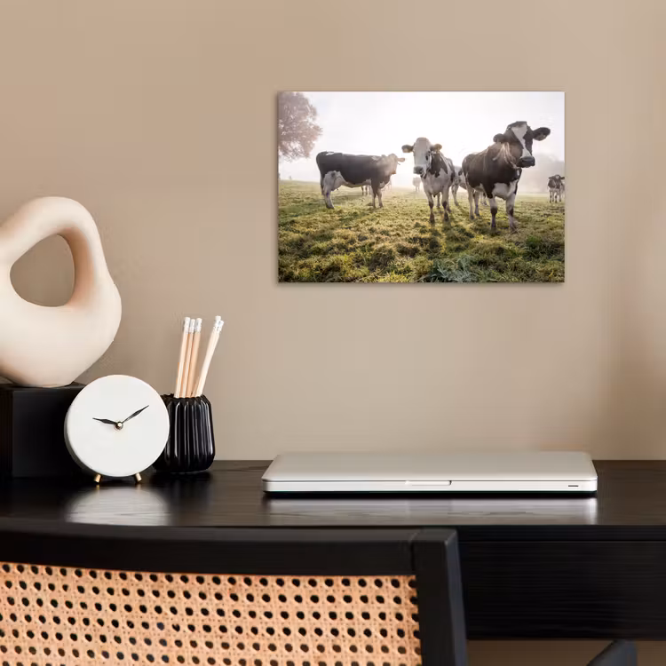Koeien - Licht - Gras - Dieren poster papier klein -sfeer1