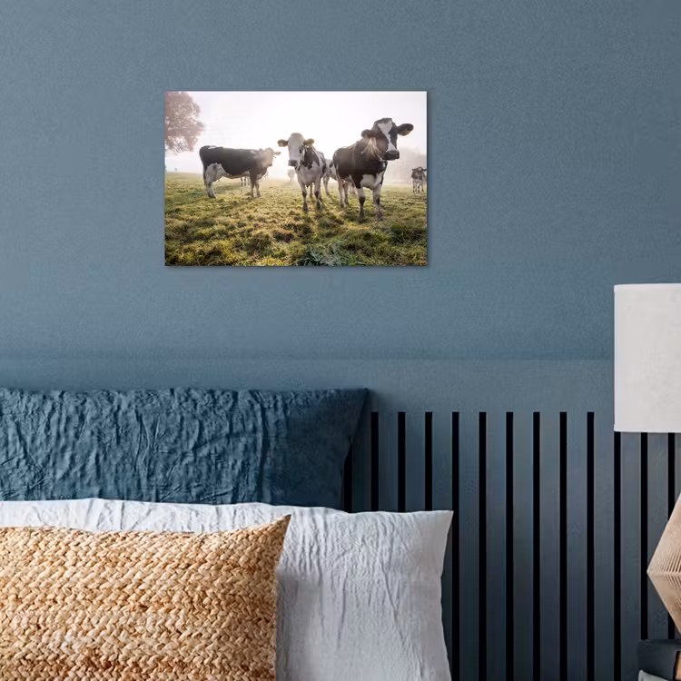 Koeien - Licht - Gras - Dieren poster papier klein -sfeer2