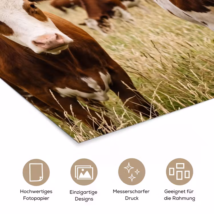 Koeien - Portret - Weide - Boerderij - Nieuwsgierig poster papier klein -tcloseup_DE