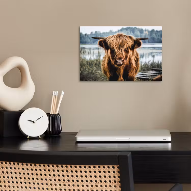 Koeien - Schotse hooglander - Bruin - Natuur poster papier klein -sfeer1