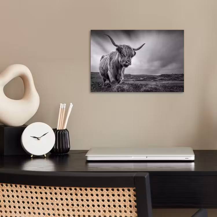 Koeien - Schotse hooglander - Natuur - Dieren - Zwart wit poster papier klein -sfeer1