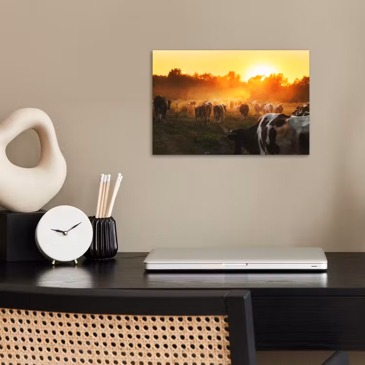 Koeien - Zonsondergang - Weiland - Dieren poster papier klein -sfeer1