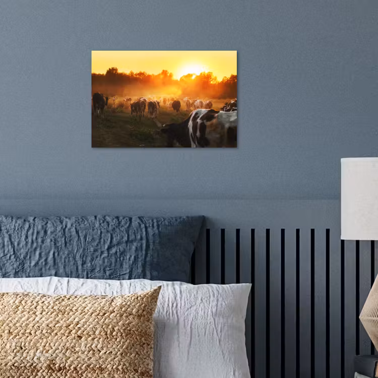 Koeien - Zonsondergang - Weiland - Dieren poster papier klein -sfeer2
