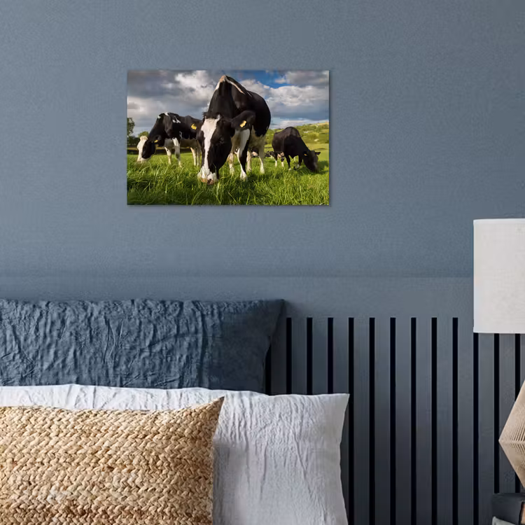 Koeien - Dieren - Gras - Weiland - Boerderij poster papier klein -sfeer2