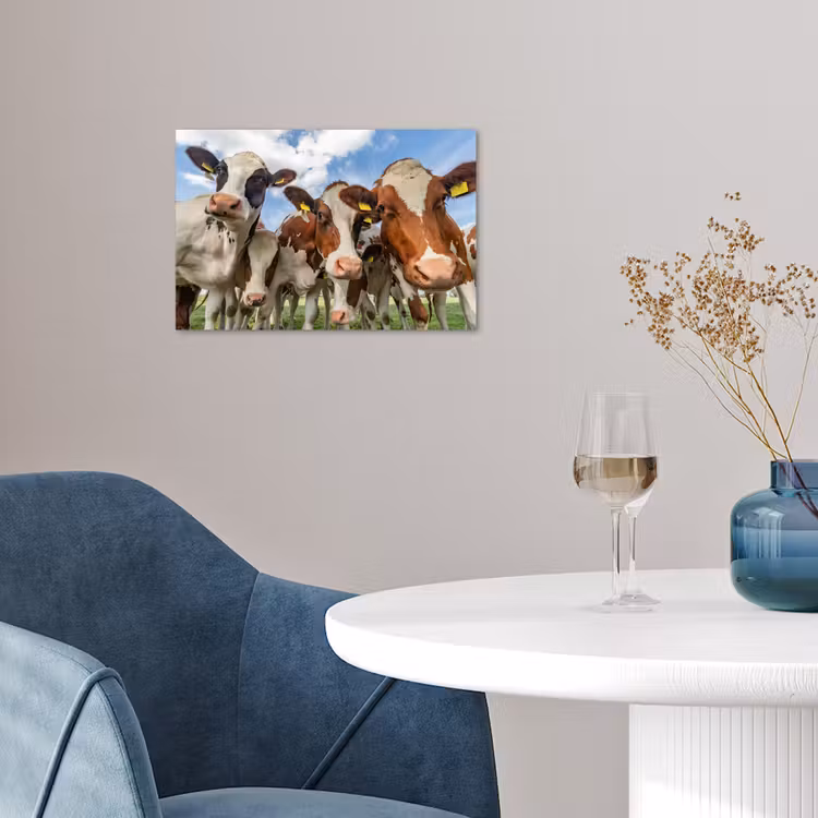 Koeien - Dieren - Weiland - Natuur poster papier klein -sfeer3