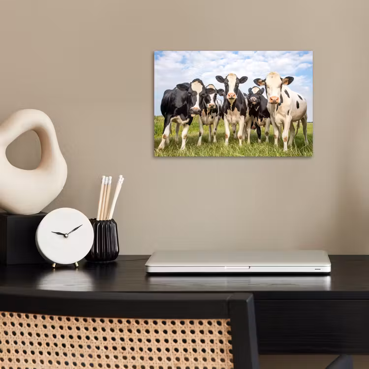 Koeien - Weiland - Dieren - Natuur - Gras poster papier klein -sfeer1
