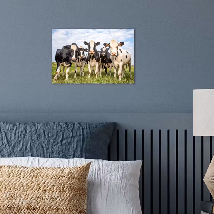 Koeien - Weiland - Dieren - Natuur - Gras poster papier klein -sfeer2
