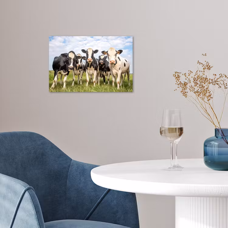 Koeien - Weiland - Dieren - Natuur - Gras poster papier klein -sfeer3