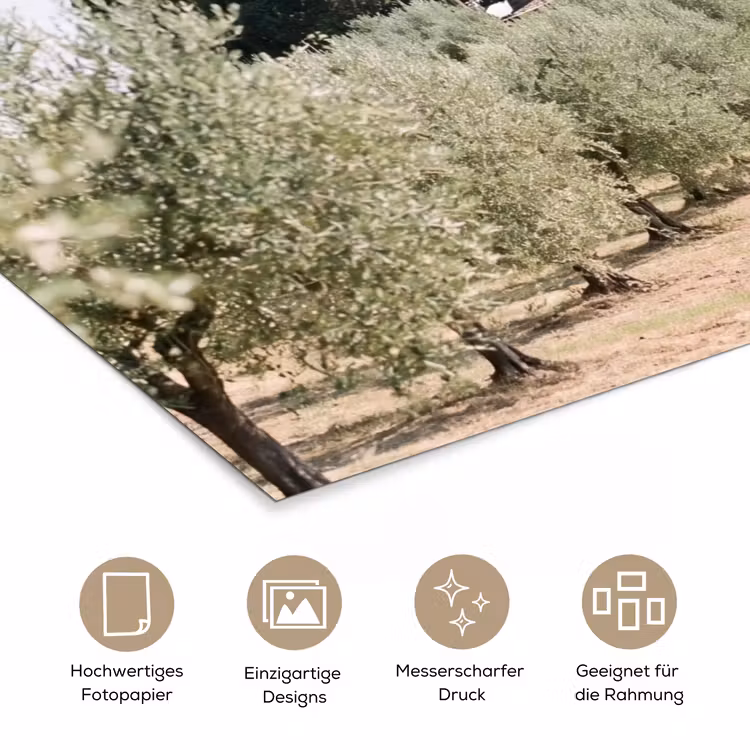 Poster - Landhaus – Olivenbaum – Obstgarten - Landhuis - olijfboom - gaard poster papier klein