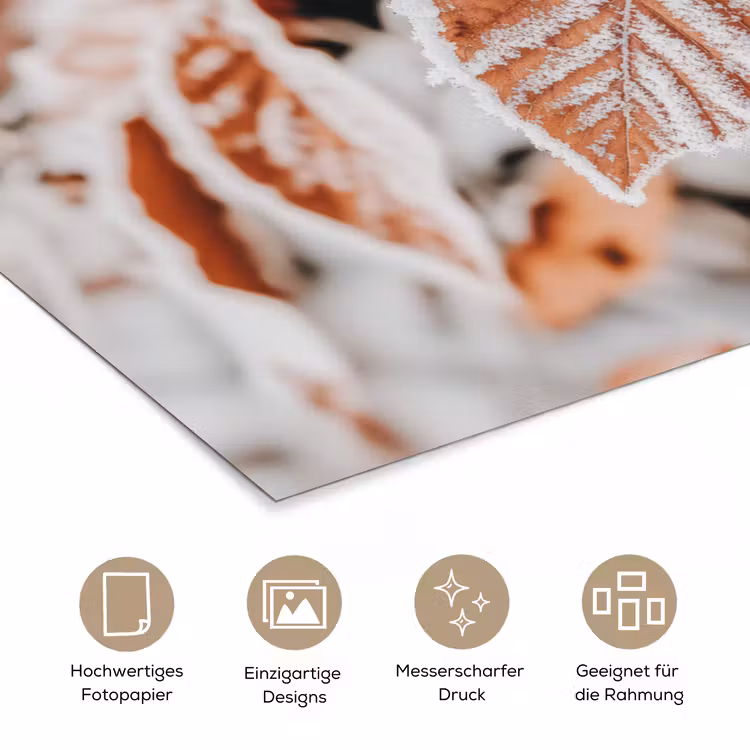 Bladeren - IJs - Winter - Natuur poster papier klein -tcloseup_DE