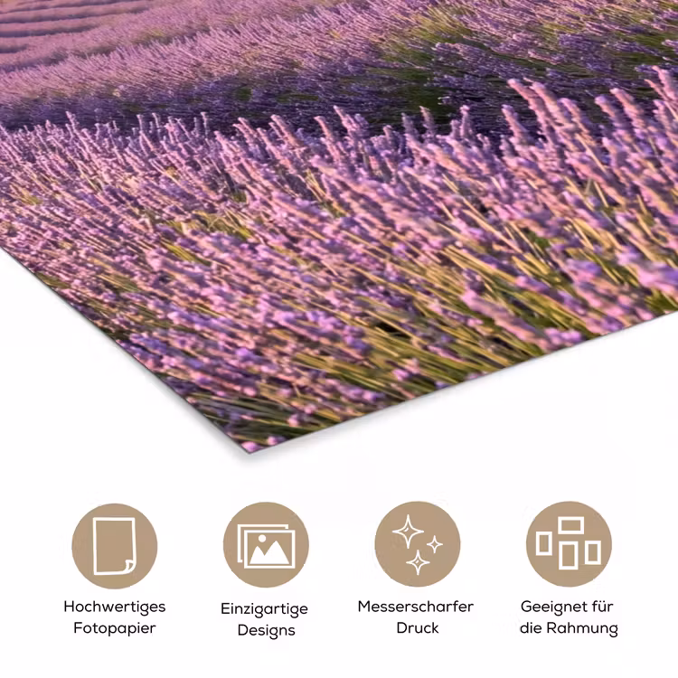 Lavendel - Landschap - Sereen - Paars poster papier klein -tcloseup_DE