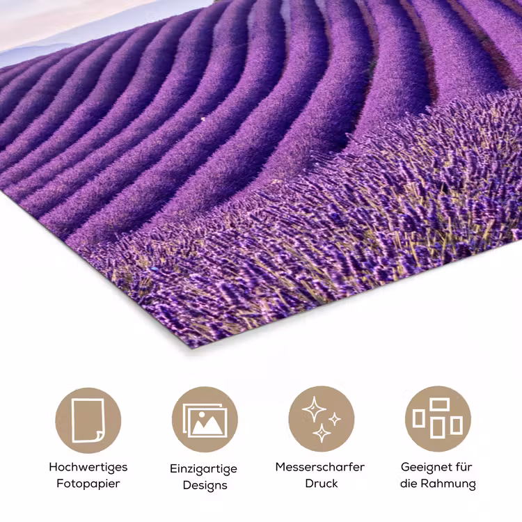 Lavendel - Natuur - Paars - Bomen - Bloemen poster papier klein -tcloseup_DE