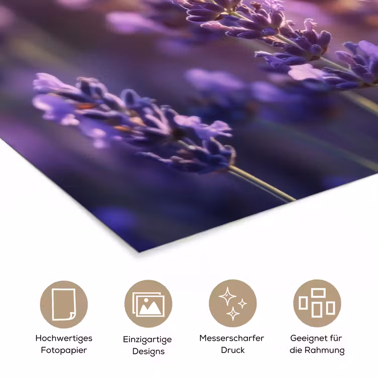 Lavendelbloemen - Paars - Zonlicht poster papier klein -tcloseup_DE