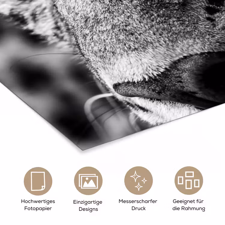 Luipaard - Zwart - Wit - Oog poster papier klein -tcloseup_DE