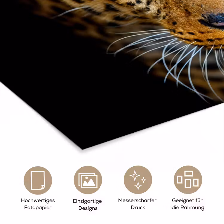 Luipaard - Dieren - Portret - Wilde dieren - Zwart poster papier klein -tcloseup_DE