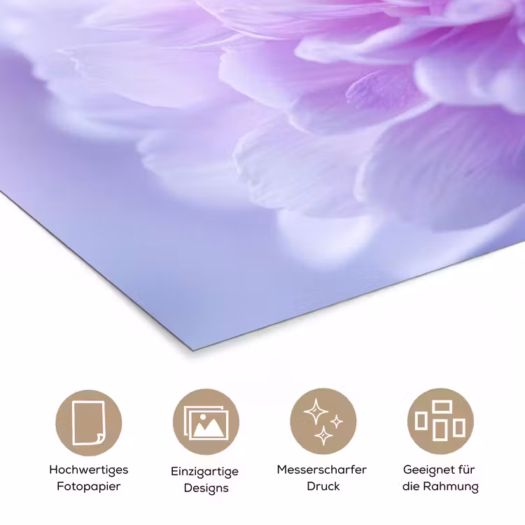 Paars - Dahlia - Dromerig poster papier klein -tcloseup_DE