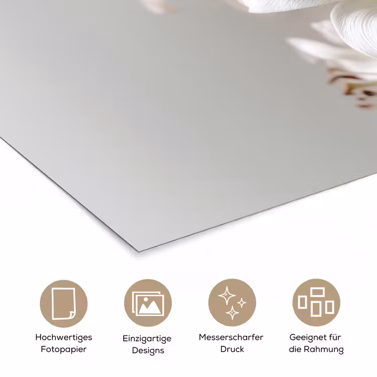 Lelies - Boekte - Wit - Meeldraden poster papier klein -tcloseup_DE