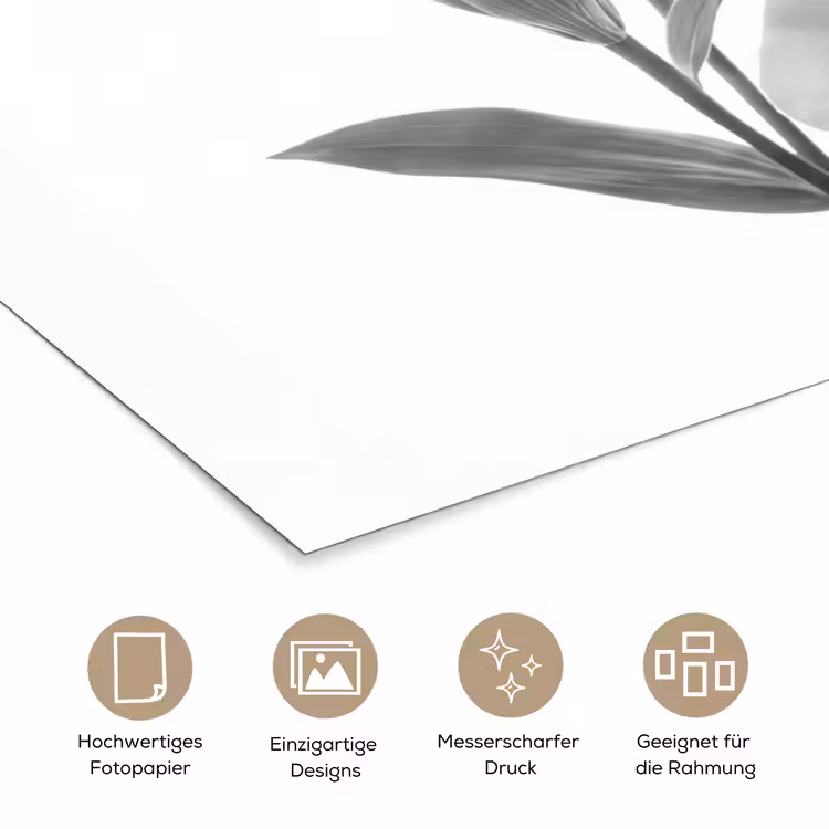 Lelies - Elegant - Zwart - Wit poster papier klein -tcloseup_DE