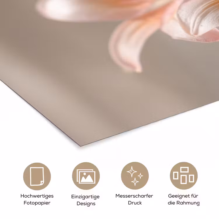 Lelies - Meeldraden - Roze - Wazig poster papier klein -tcloseup_DE