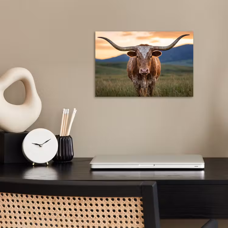Longhorn - Landschap - Zonsondergang poster papier klein -sfeer1