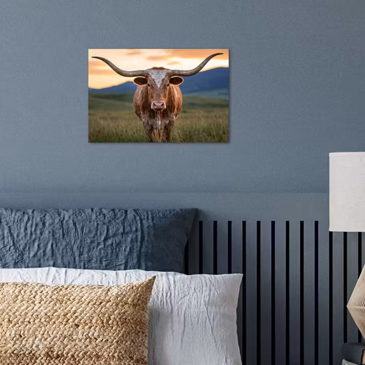 Longhorn - Landschap - Zonsondergang poster papier klein -sfeer2