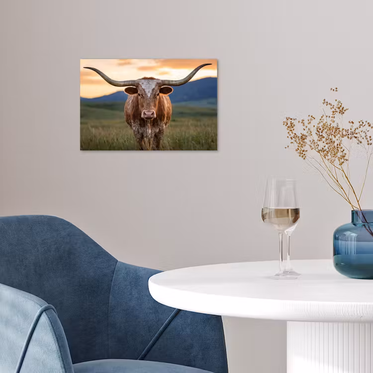 Longhorn - Landschap - Zonsondergang poster papier klein -sfeer3