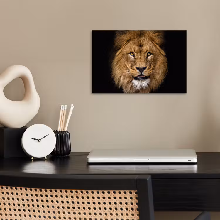 Leeuw - Portret - Zwart - Dieren poster papier klein -sfeer1