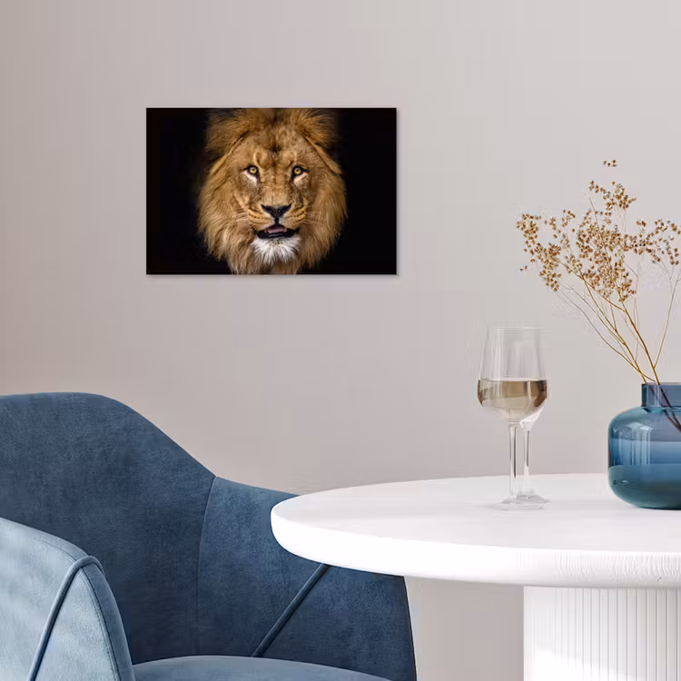 Leeuw - Portret - Zwart - Dieren poster papier klein -sfeer3